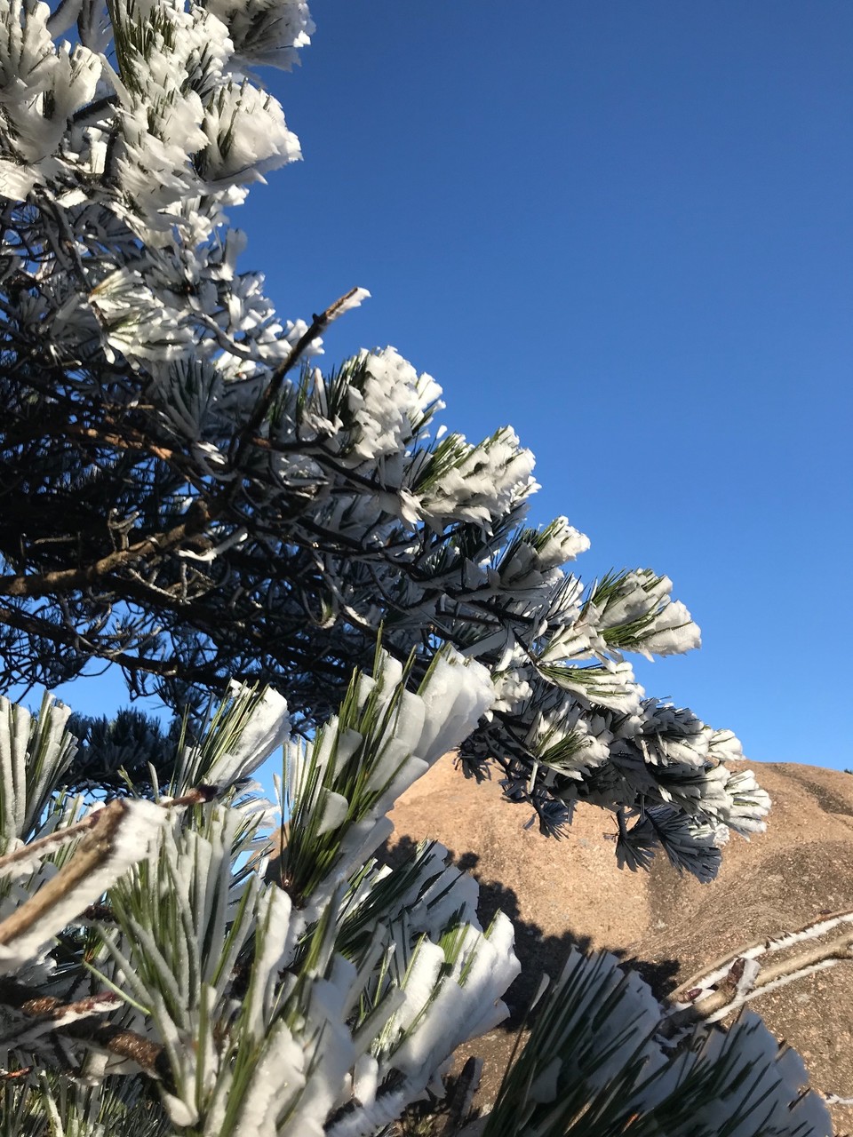 5F95CD5E-07ED-440B-B5CF-D5696E555A49