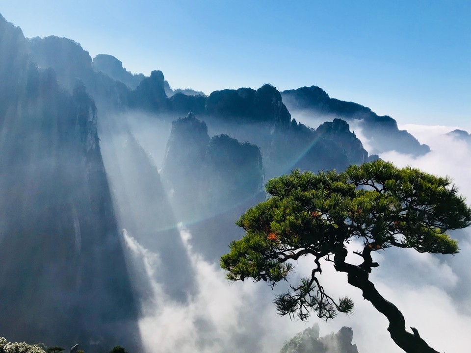 CF4ED327-B2C0-4193-A704-C24EDEDB635D