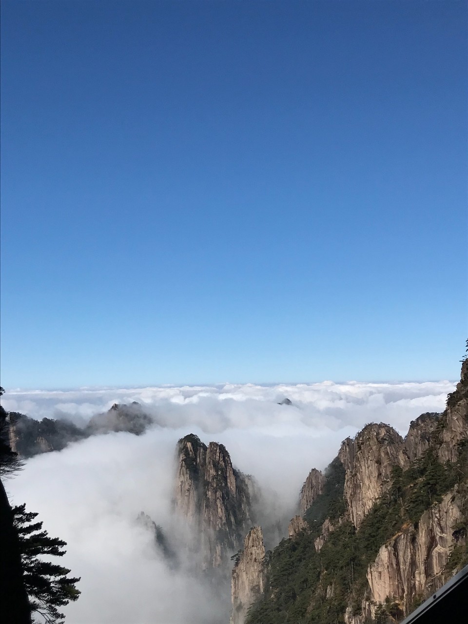 E5EC8932-67C2-4BD1-A27E-2754357C28D4