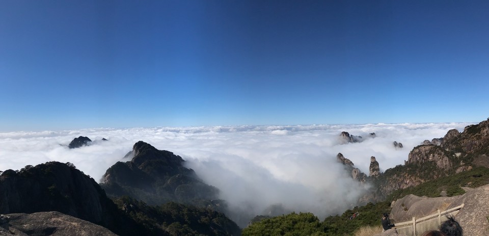 800C3E1F-3236-46AD-AE25-E76B44639729