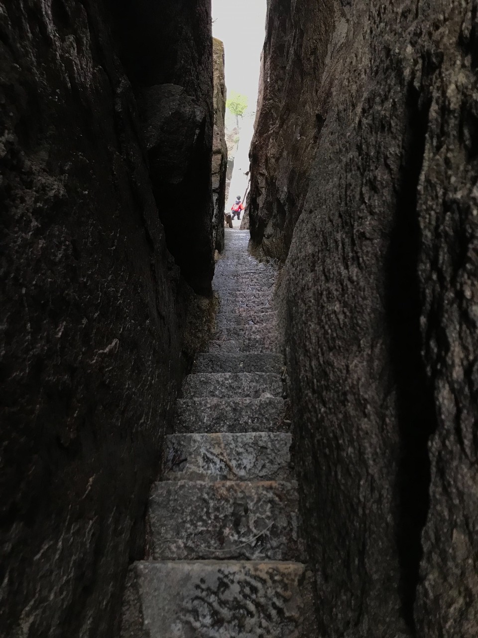 7CFB89D6-27AC-4FAA-8318-6F72A22ED899