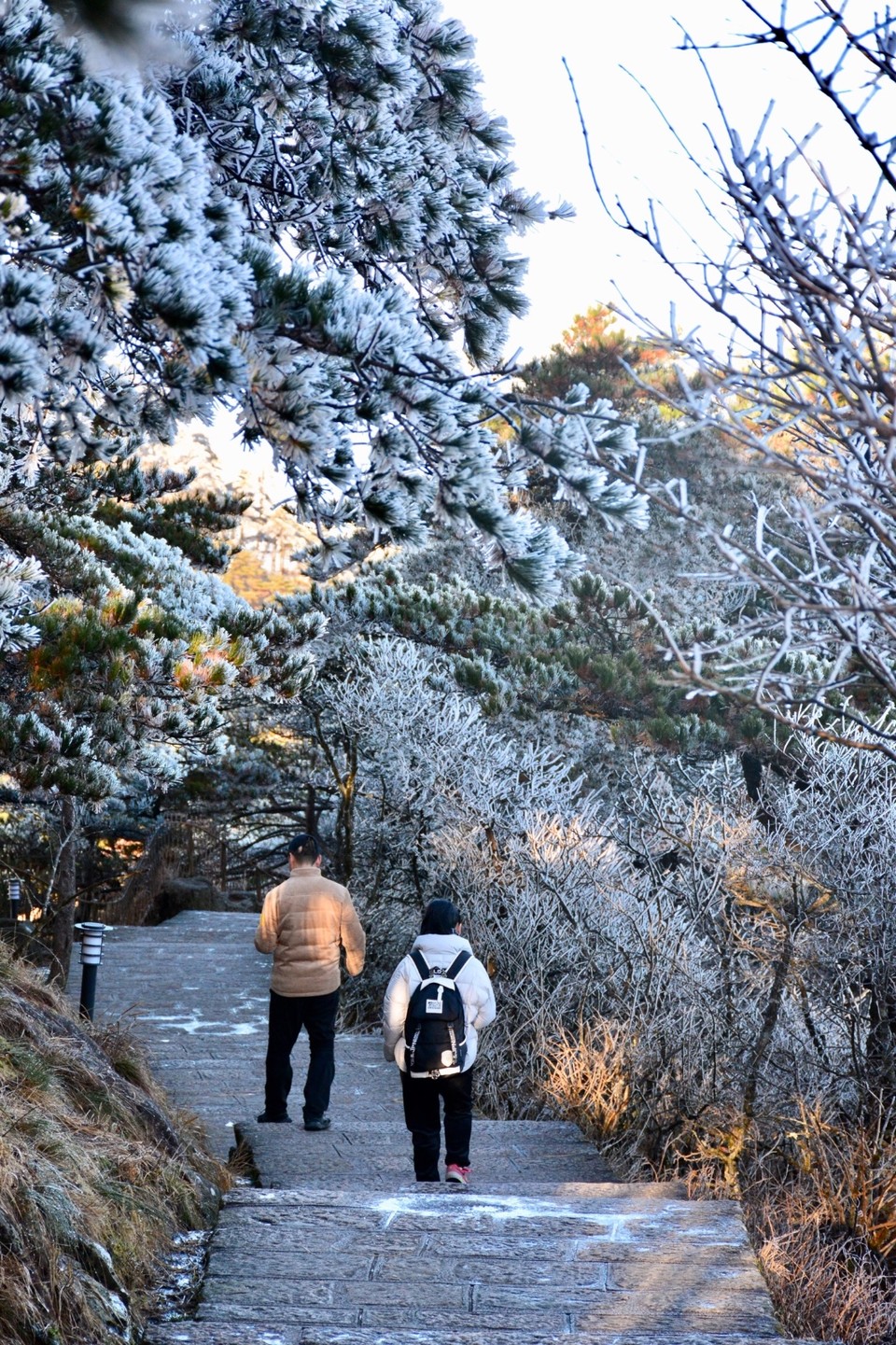 4F4BD658-D033-47DD-951D-60FF93CEED44