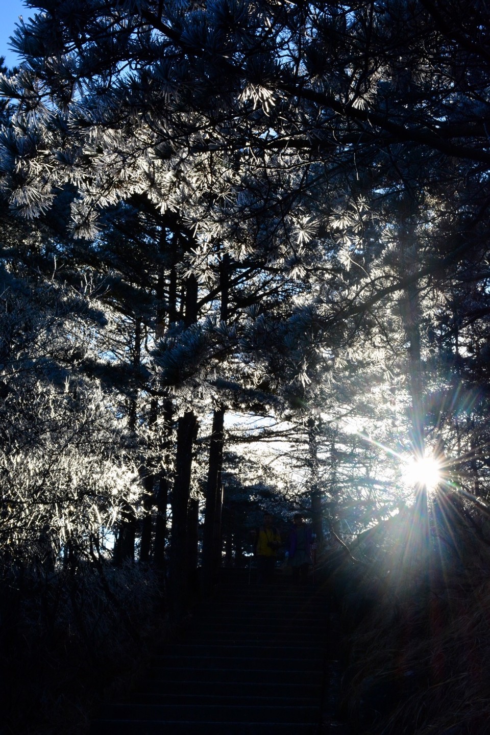 8C18BB2E-3C40-4DB9-846E-E1DFD2AE9CD4