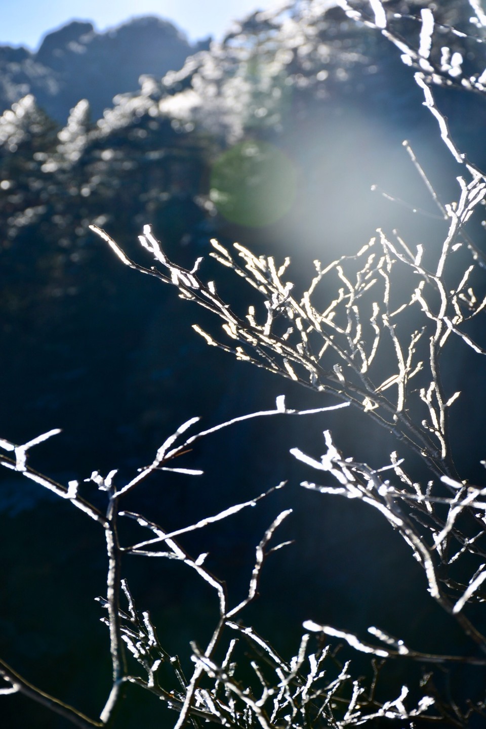 364D1B57-AF96-4B17-9621-22F0D6BDABC5