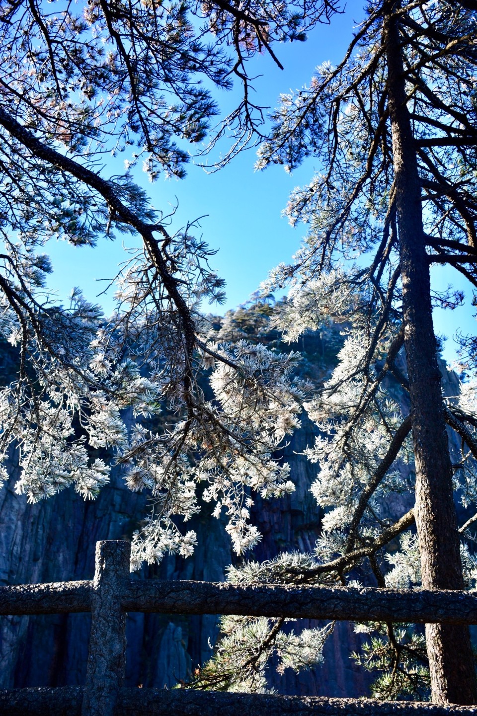 6DC7C6AA-B899-4089-B058-7E92613693EE