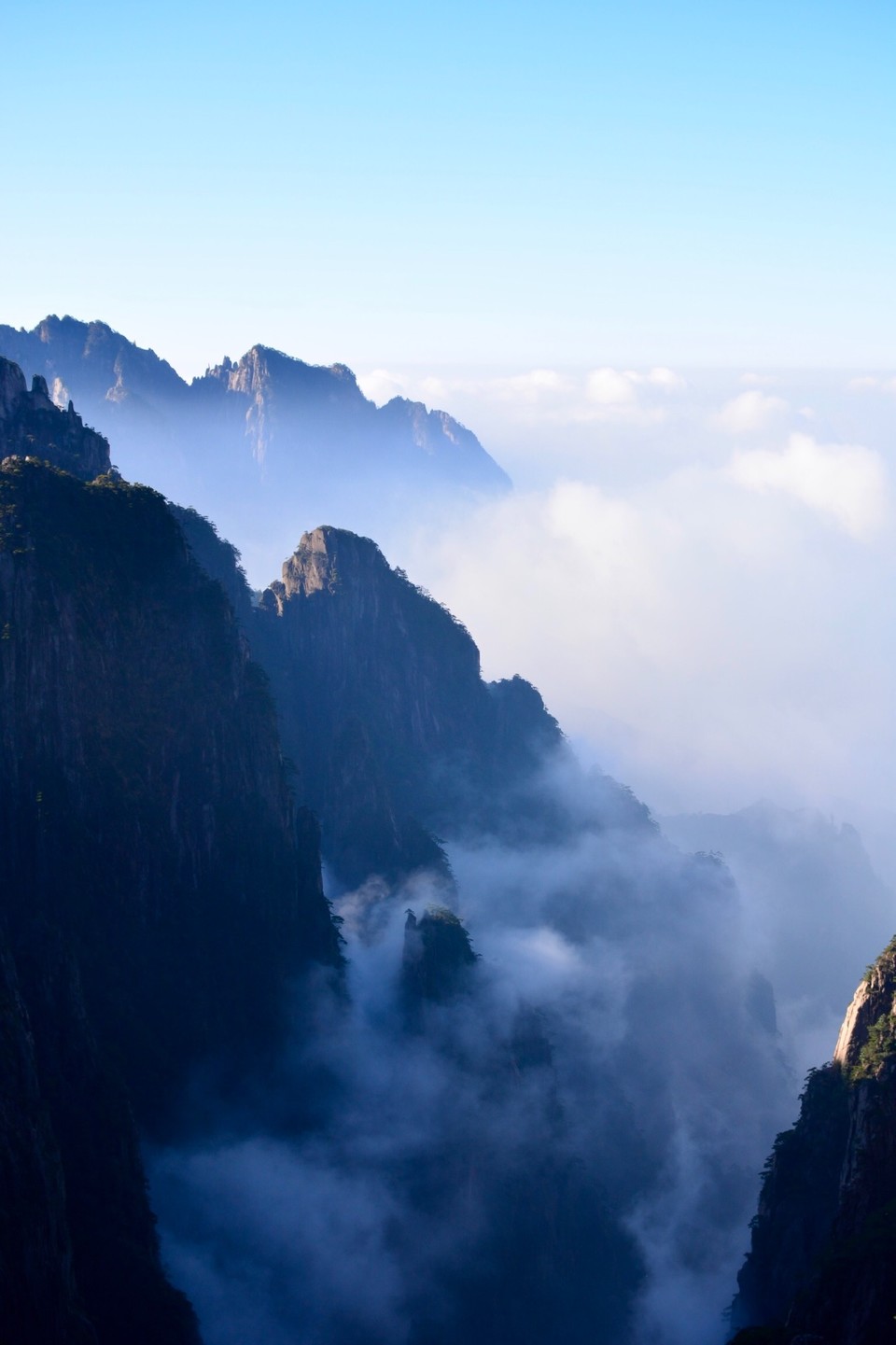 E5CC882E-E910-4753-93D0-7CE3284BC01C