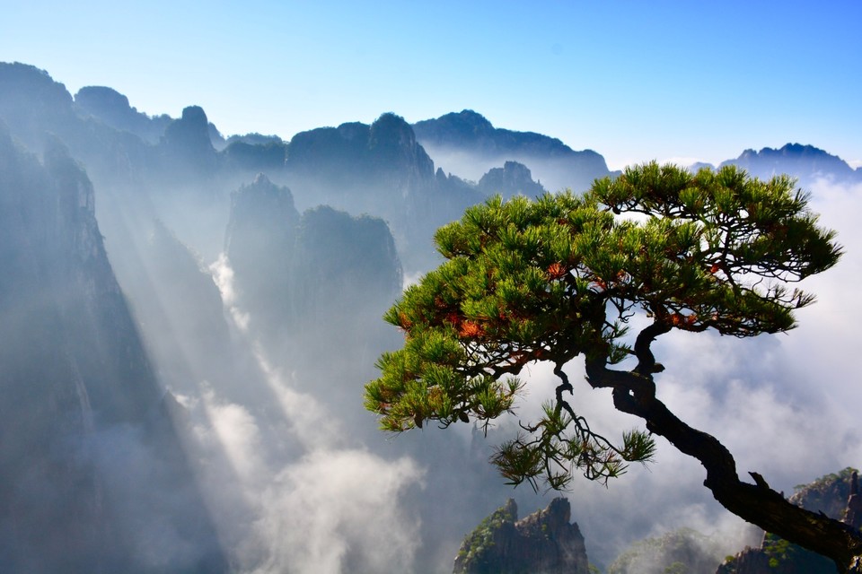 08D37715-179E-4941-A8B0-4D21D861A8E2