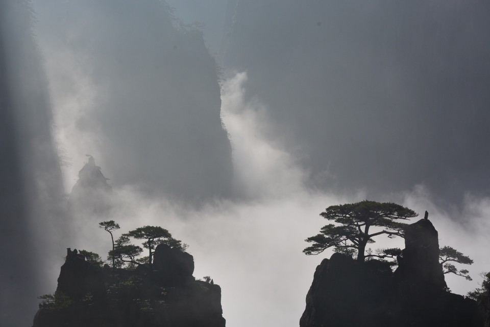 0859CC0D-B4C4-4FEB-8814-7A4A53C62464