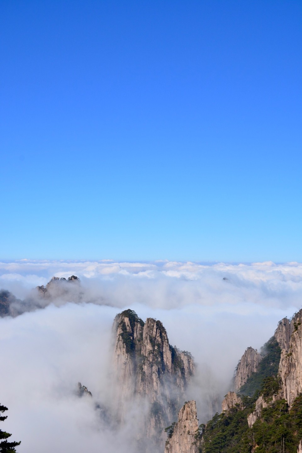 91707033-F543-486F-A246-D5630D48A21A