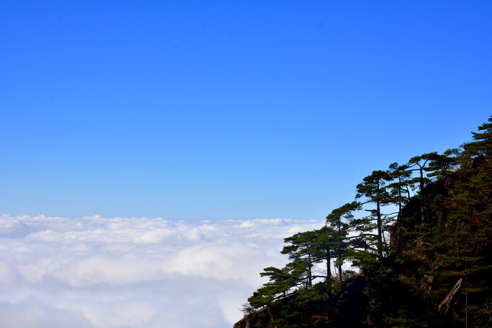 2C2C9D2F-33C9-4532-89C0-2AC953D10CEC