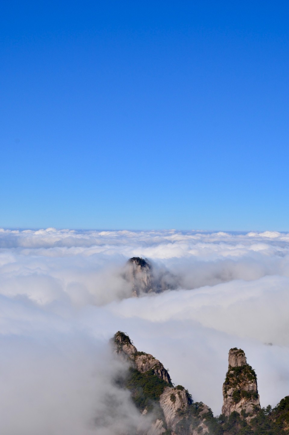 7100FEF8-6A7A-41F8-8C56-52748020FFA0