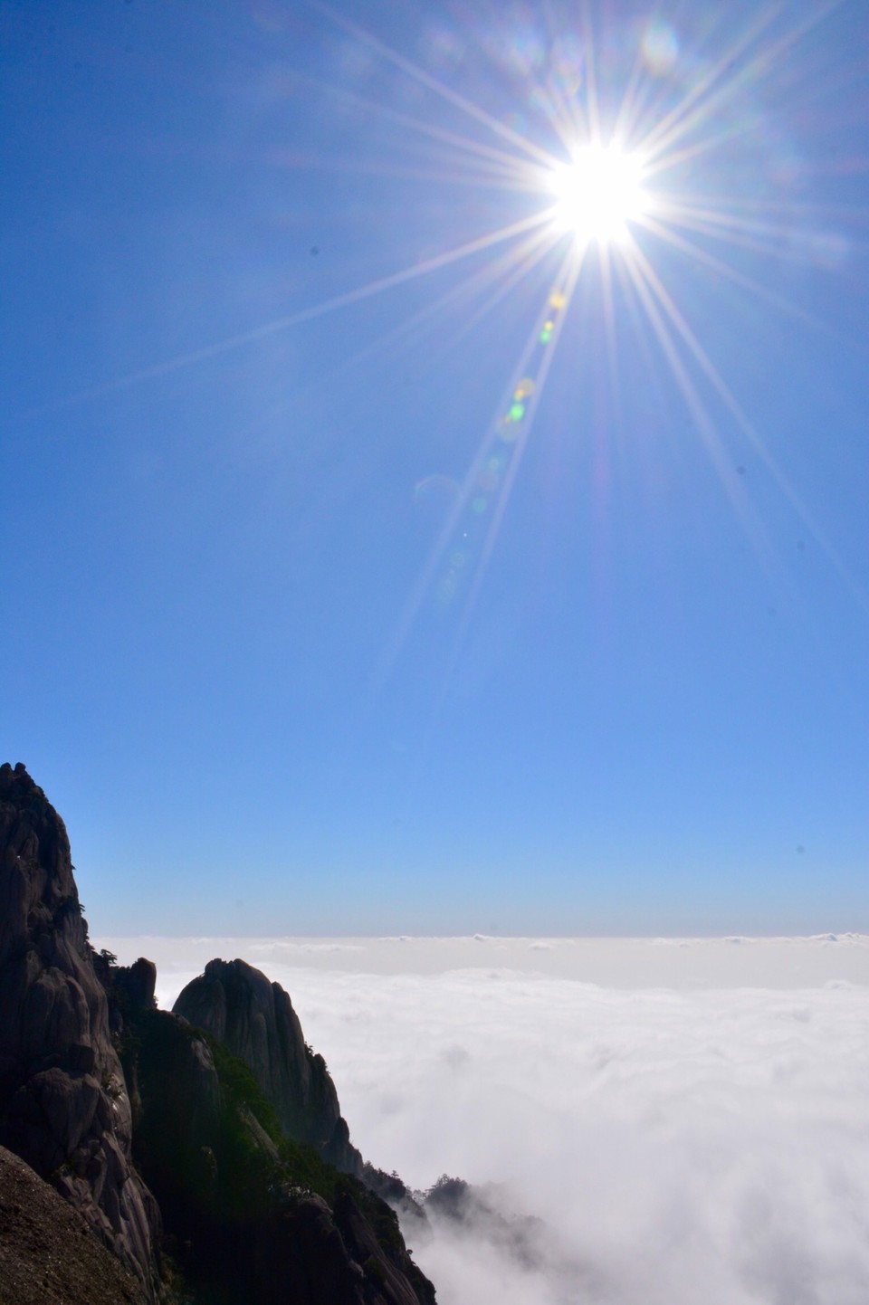 309A964E-5BA0-40E6-8CDC-876FF4CFF108