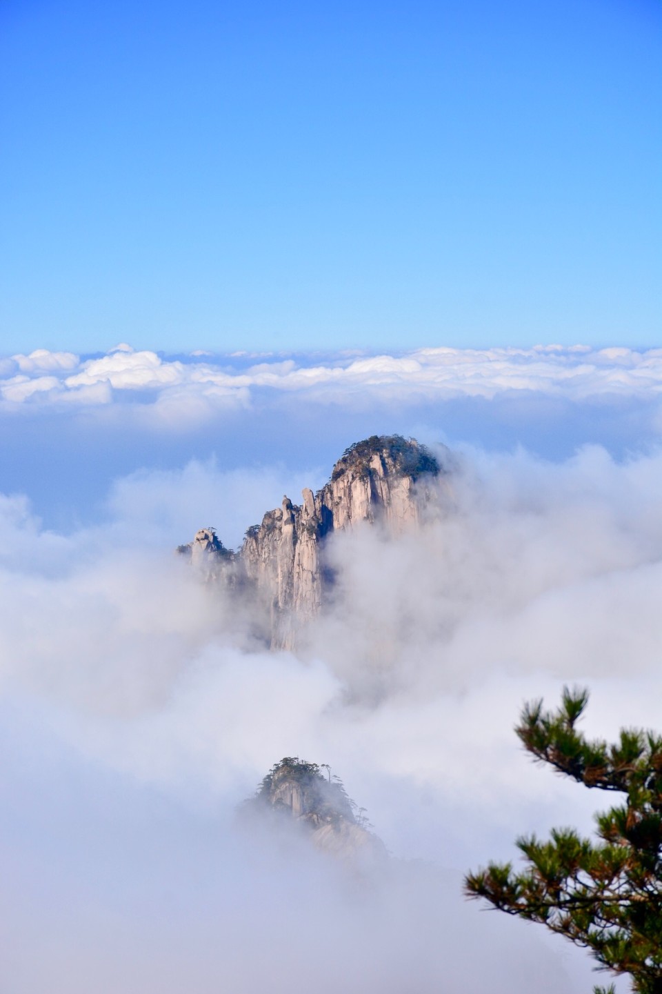 89A341B5-F479-4CF9-A848-41D2BA7E3341