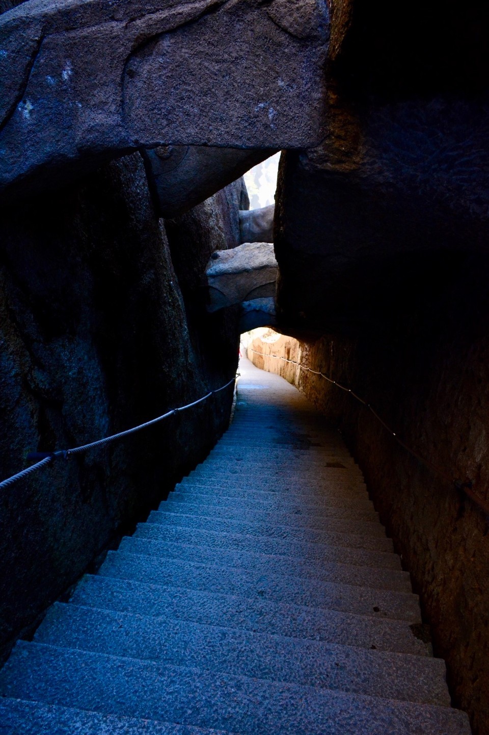 50E0DA21-6F36-41D6-8BE0-B9EB99C6826B