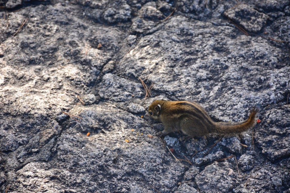 F4B2B2F7-17F9-4F21-9F85-462213ABC90B