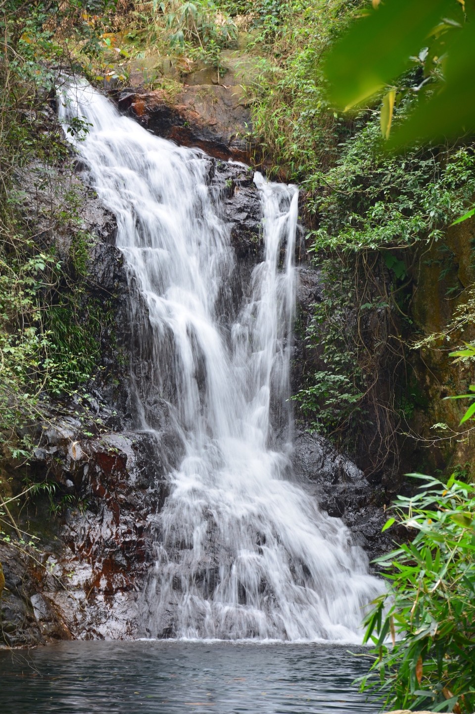 8B9F041D-B904-4E60-B743-685E38AA8489