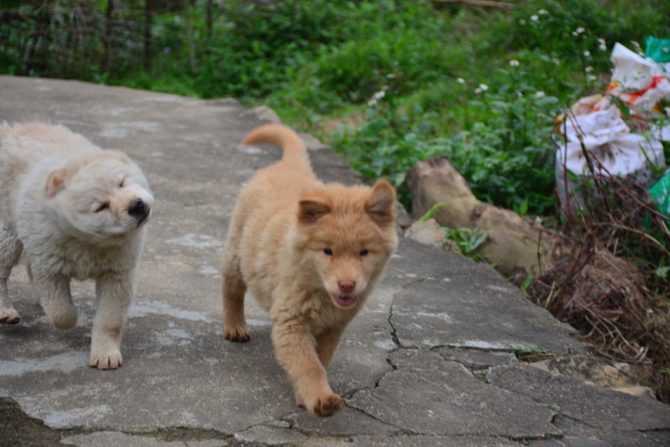 939CCCF4-510B-4EB1-8DF9-7AC98DC72E26