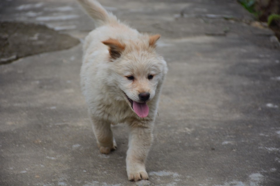 4A92324A-B19B-4C7D-A323-8FFAD342904D