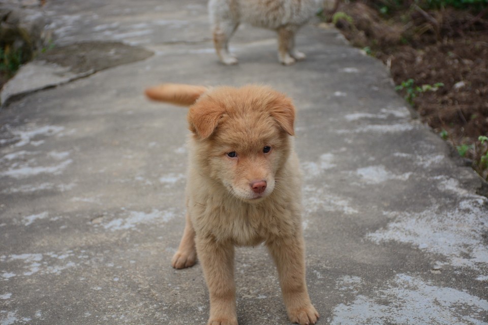 183EC95F-6C34-456A-A71A-5036F045BADC