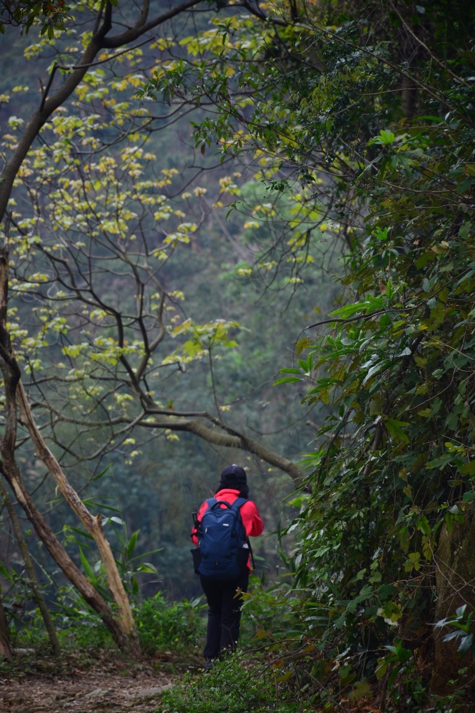 7795FC36-AC99-4C40-87F2-DDEF87E79102