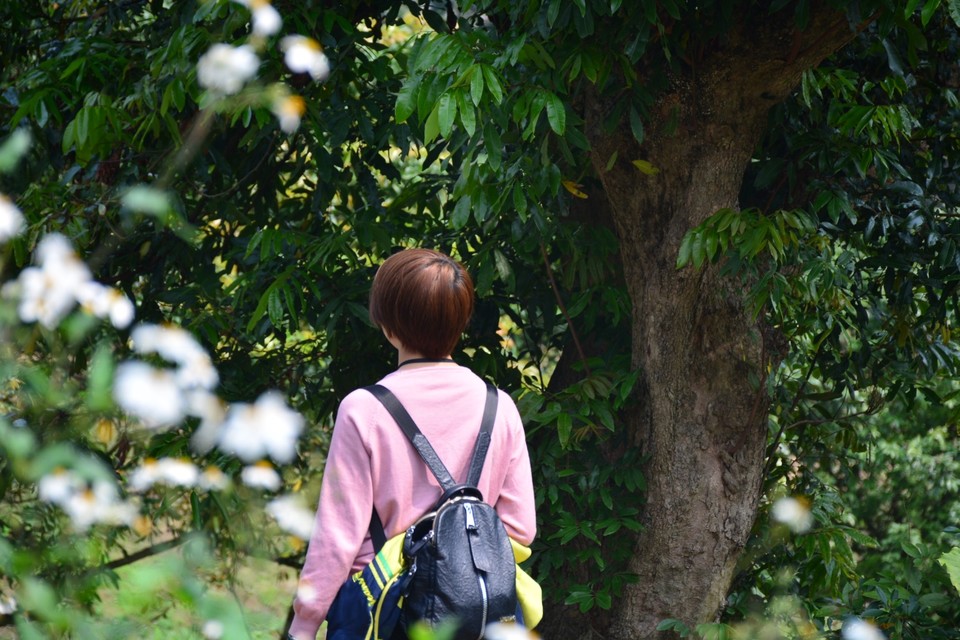 30BC187D-EB3A-4E2B-A769-5F569F4BFB38