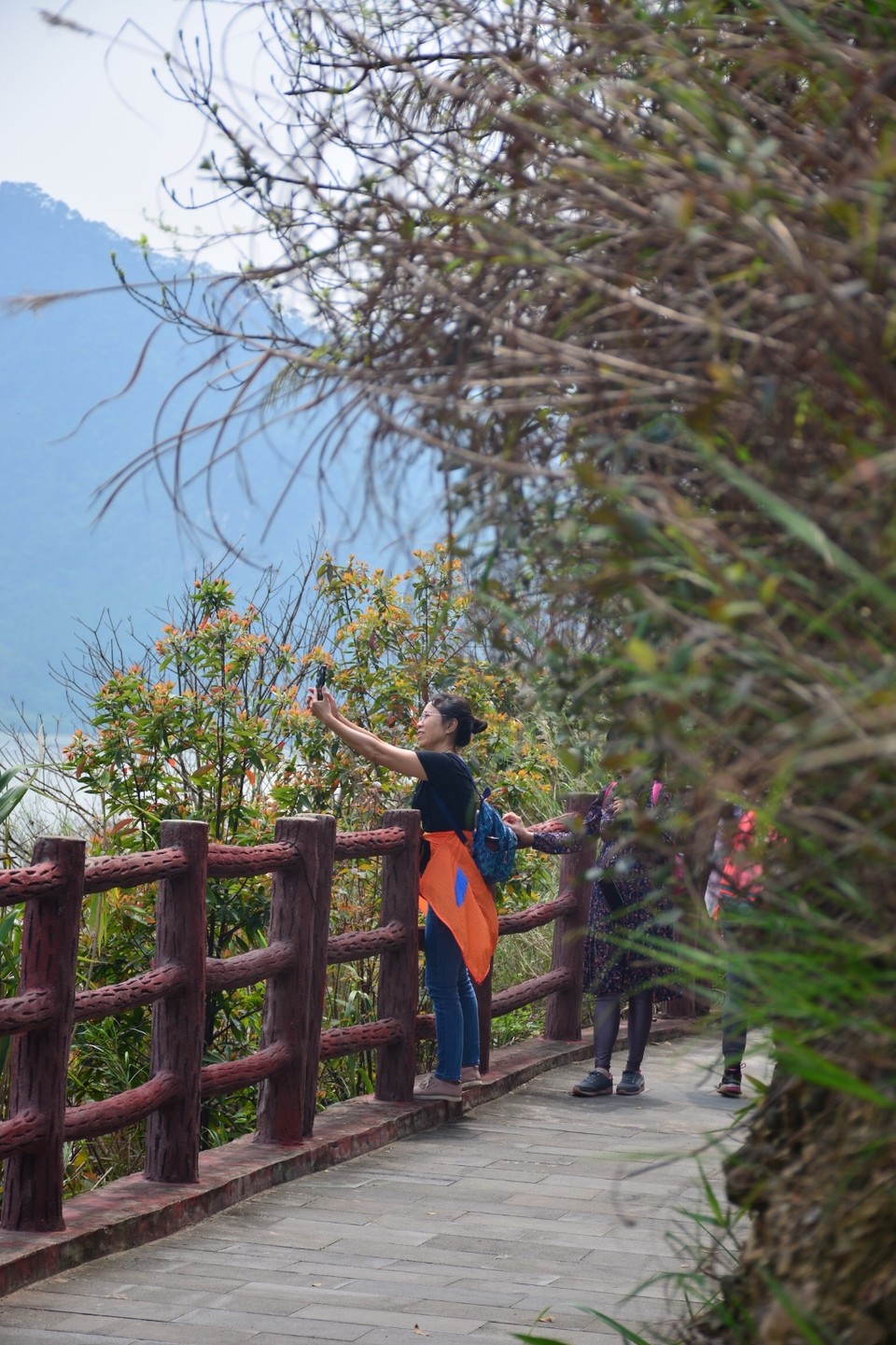 3BB44F27-CF27-4ECA-A57F-E61D295C1D71