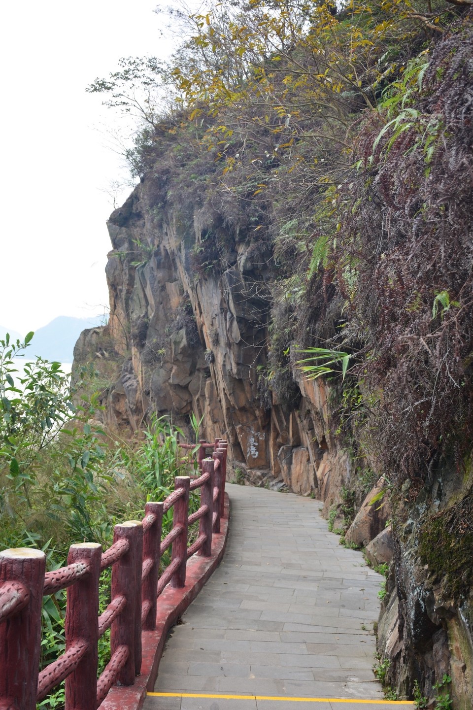 A1459A49-ADDB-4418-9638-CE2E83C0232B