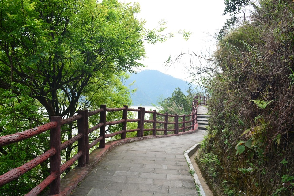 90C9116D-C886-4131-B71F-E4B54811A09A