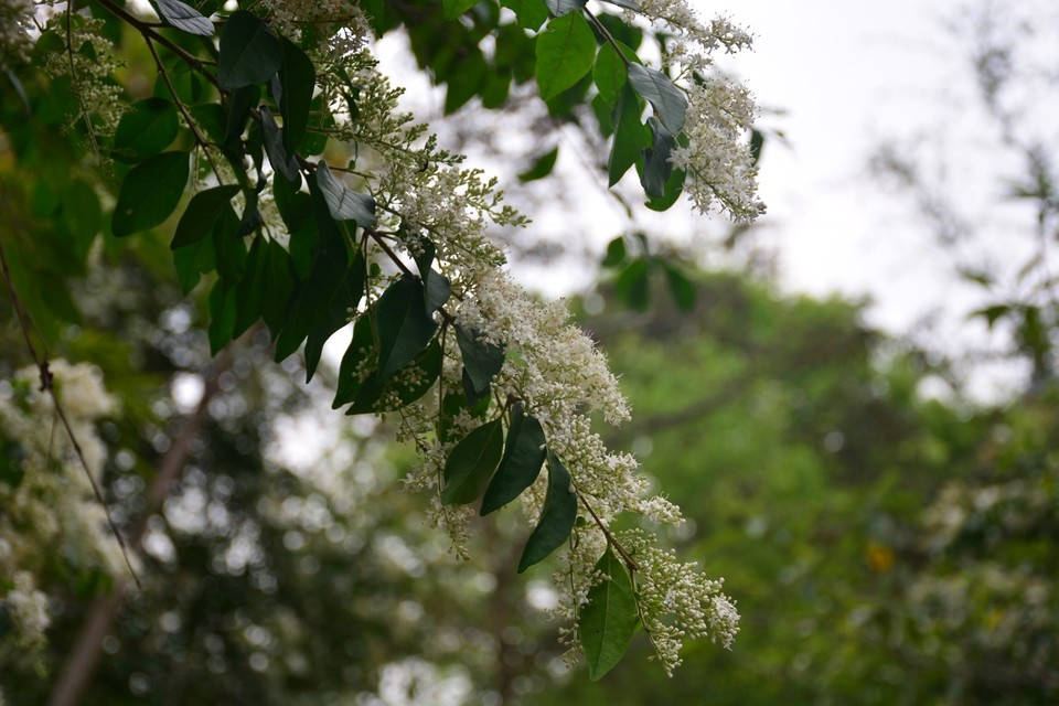 4B8EDB80-C983-4CEE-A1D0-B9E264D3B607