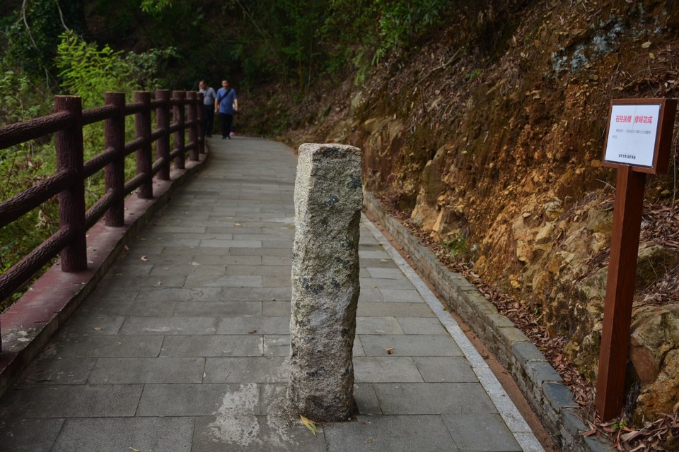 D7B8E88F-C420-4E7A-9D54-789904F9975D