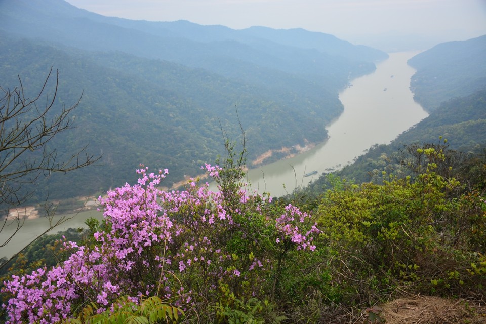 ADCEE588-7B95-4775-ABD5-4CDF835CE16F