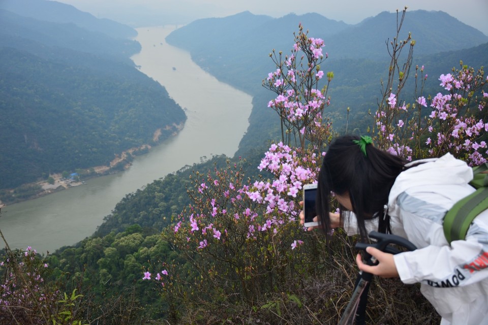 9E5FBBB4-2EEC-44F1-91CF-388A7F8EEA8E