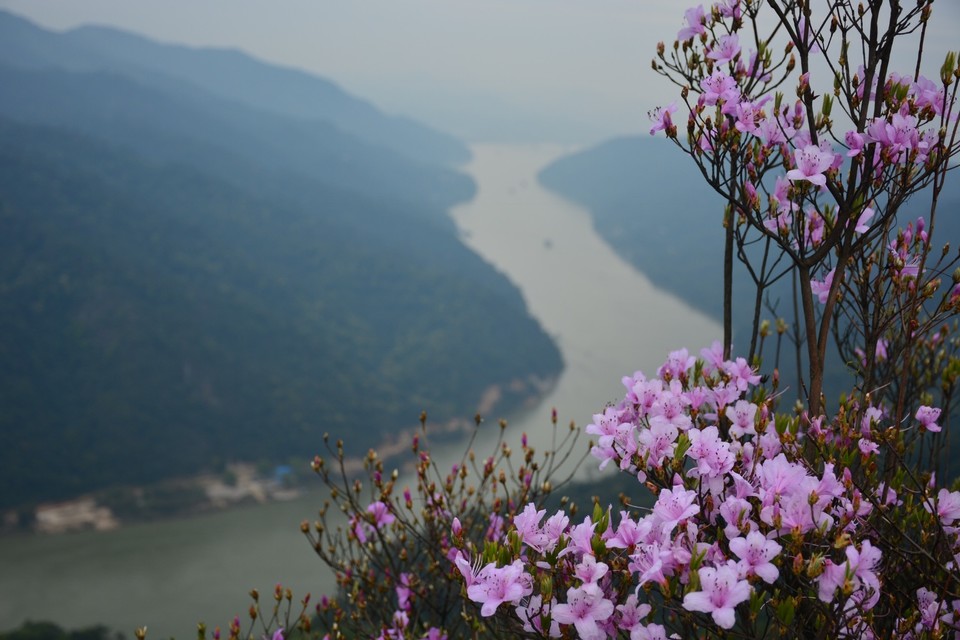 5EA10D7A-AA7E-4A26-9388-81A1A2BA35AF