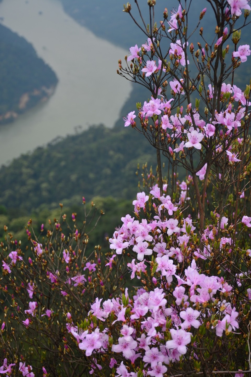 E2C2F178-58DF-4A7F-9987-E242487EF7DA