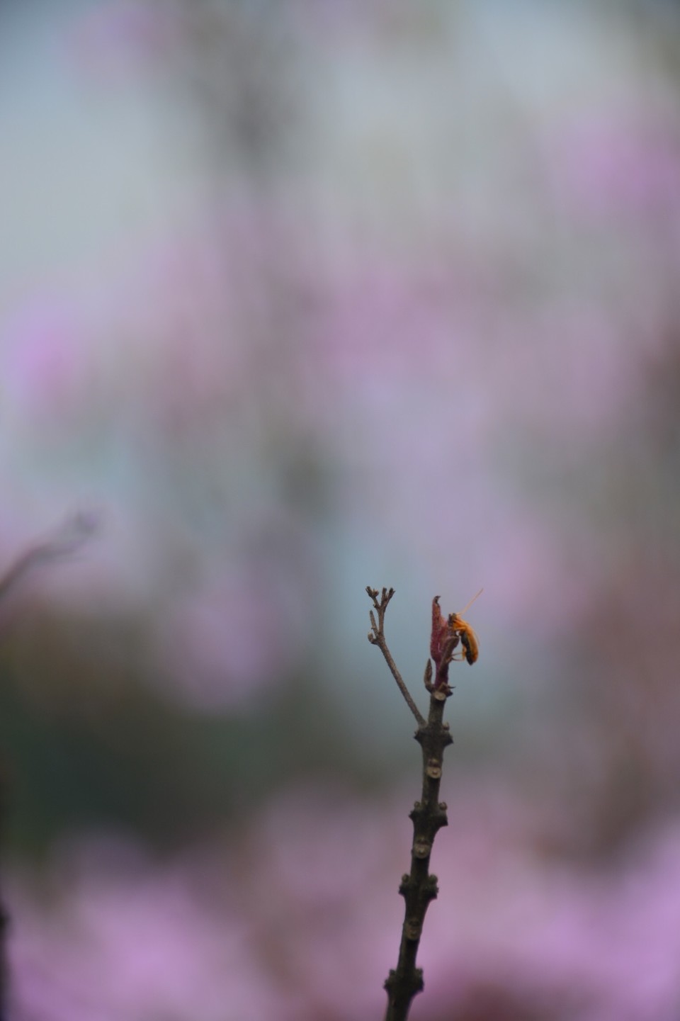 6473007E-AA85-43A7-B757-687E31C4BD3E