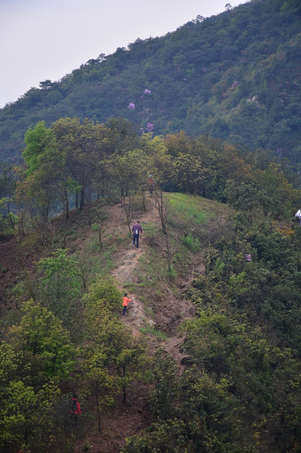 79A72770-45AA-4E1D-A235-555806F02573