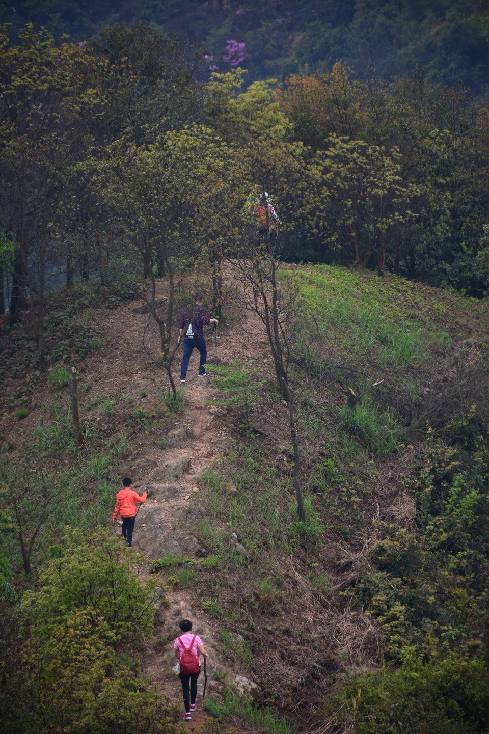 E4E66CD3-DC00-4814-887E-EA0286EB1CF7