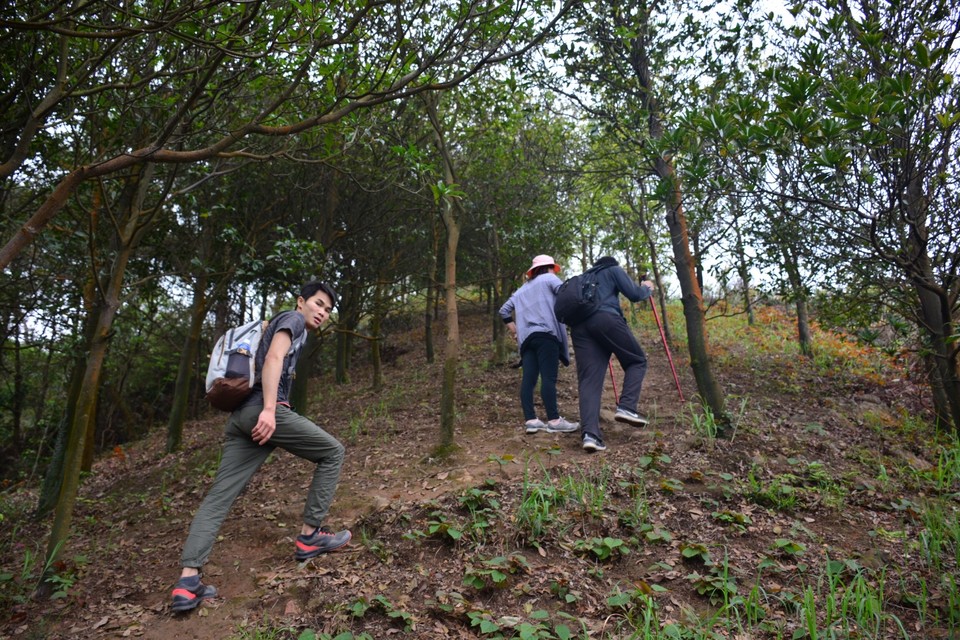 7675C21B-1761-4ED1-BAA4-86A003183478