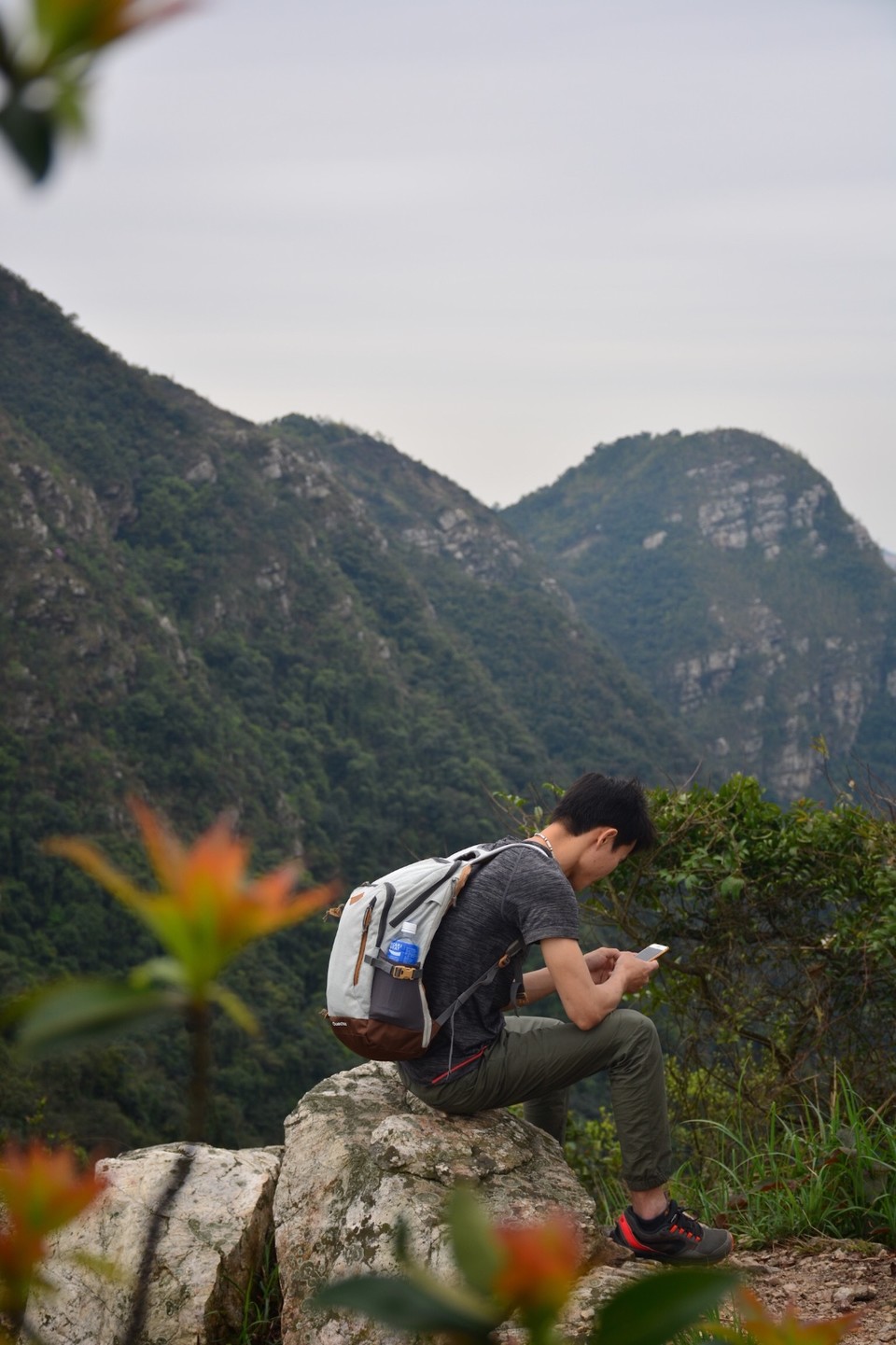 242D585A-EDAE-4B0F-BD71-83807B2A7588