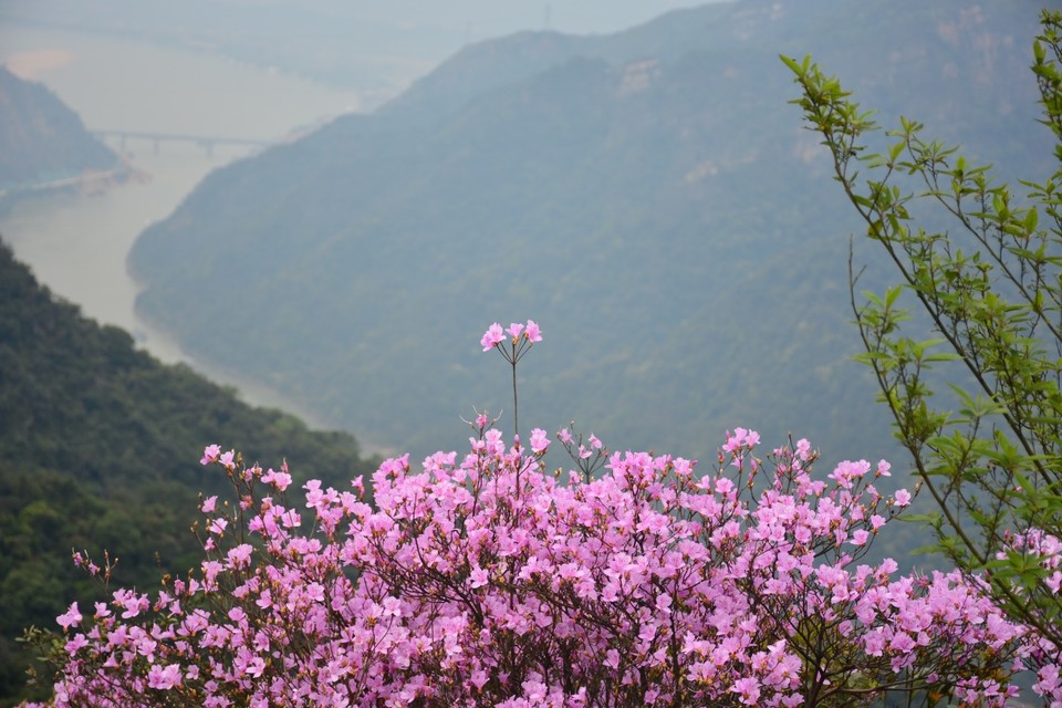 AFCBE754-AC33-4AD2-9597-1A8B0688BAC9