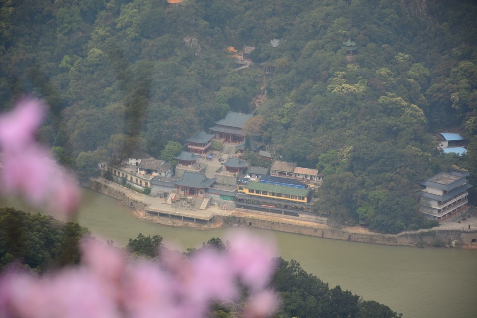 95F574E1-CBD9-41AC-99B7-88BF2D59D1A3