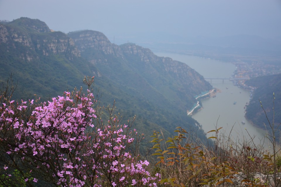 287DDEAC-E200-451F-A530-ED4517DD43A4