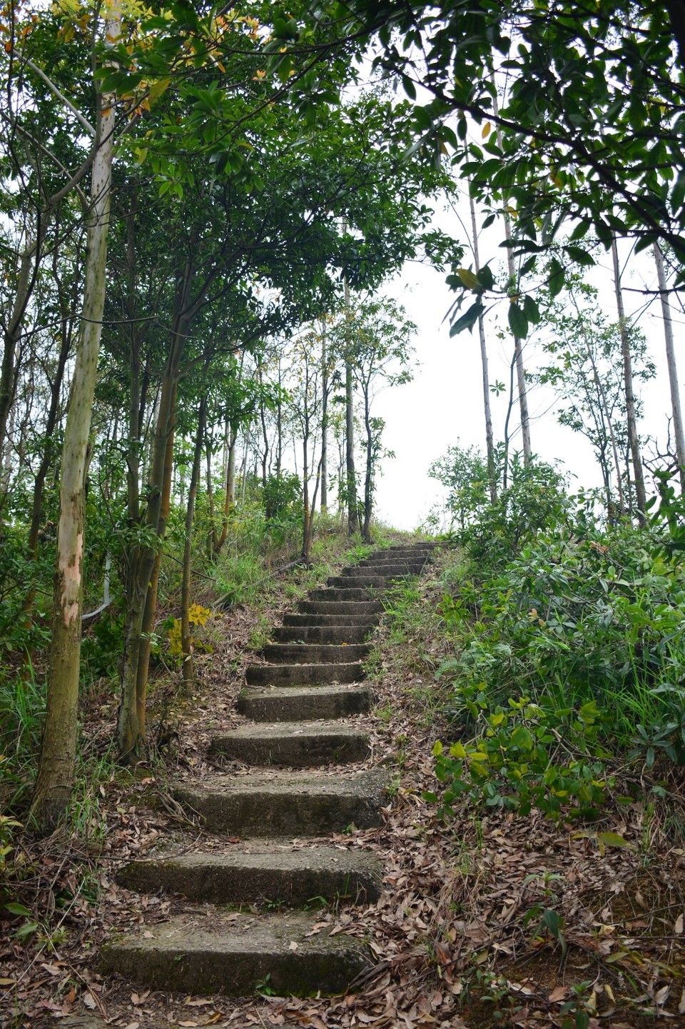 63F2986C-9DB1-4C11-9DE3-13F37EB743D1