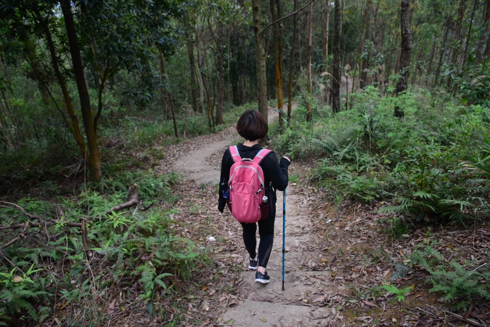 F333355C-D9E2-4E84-BEC2-F8ACE244C001