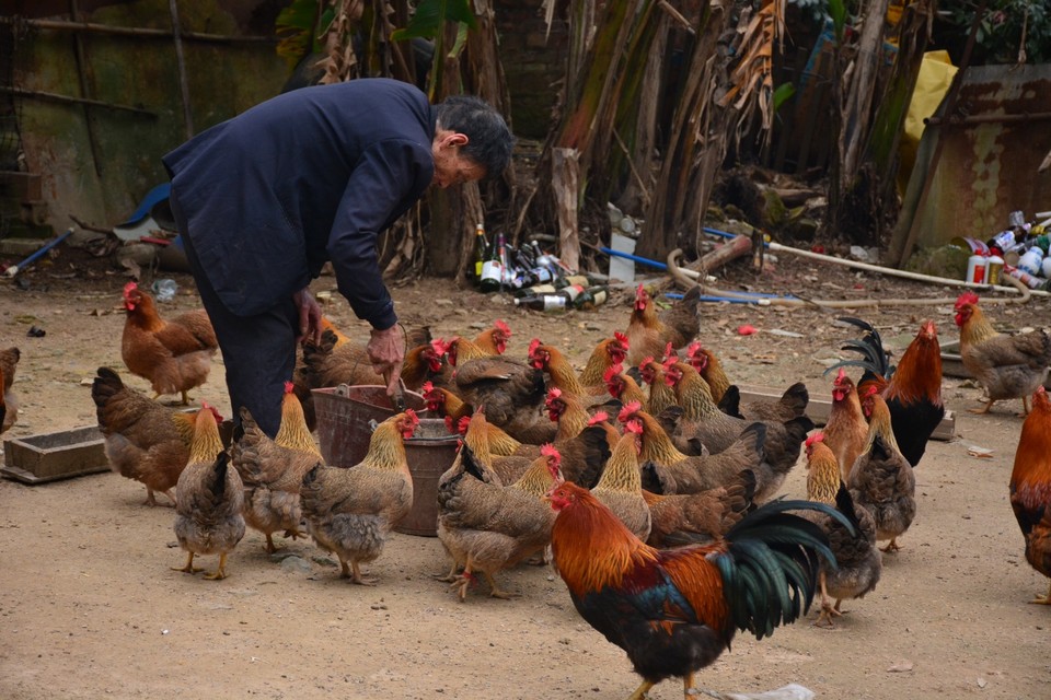 2594FAC0-8A11-4D23-90B2-EB25EDC908BA