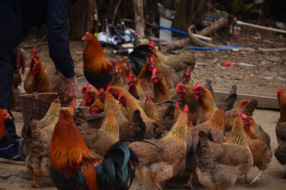 41E403DA-4A48-4783-AAD1-8591864563D1