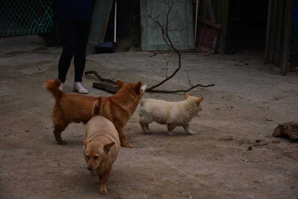 A8A8C903-E248-40FE-87D8-D0CF5E895413