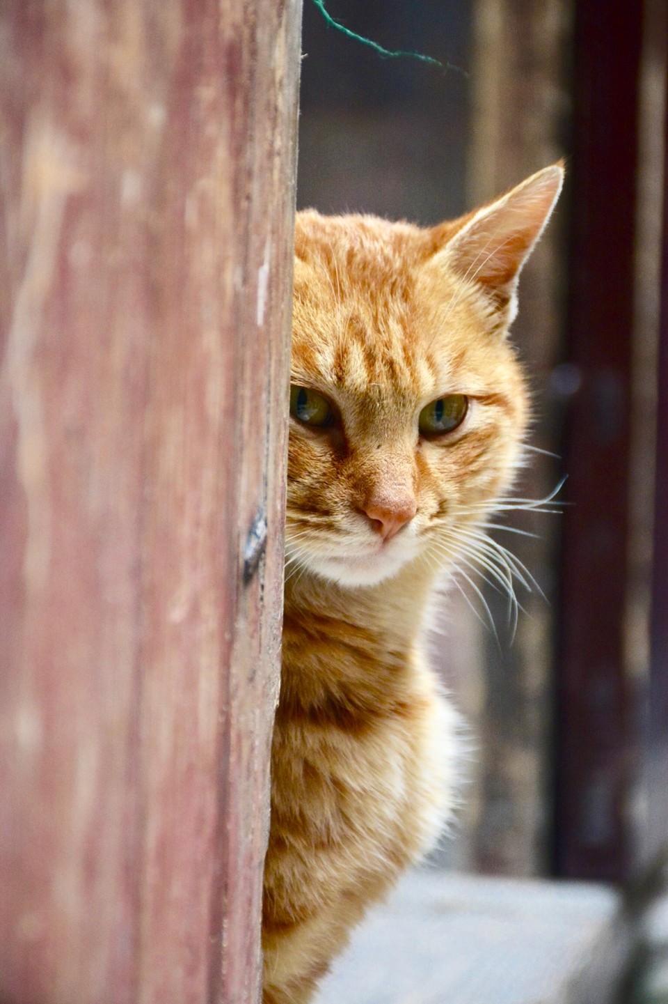 3C1290AC-4C2B-4725-B211-074240E07020