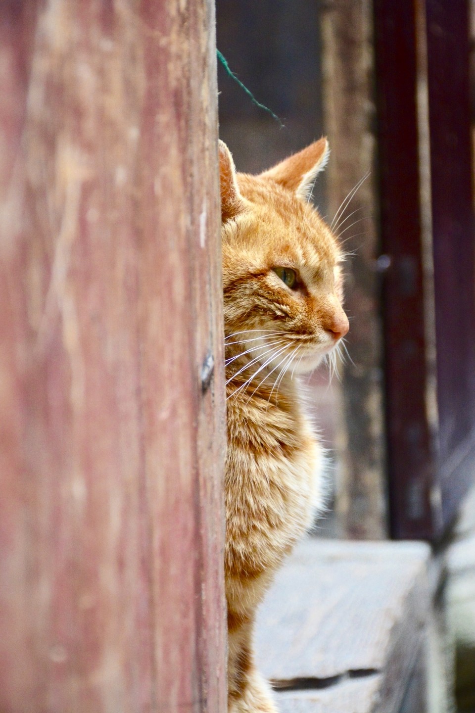 06C7E773-0D4B-4E25-875C-A92A4940F975