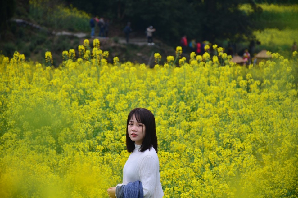 9687D634-0083-4F33-9E11-5DC6D9F94797